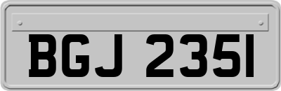 BGJ2351