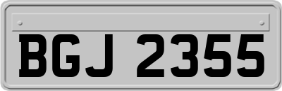 BGJ2355