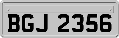 BGJ2356