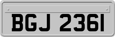 BGJ2361