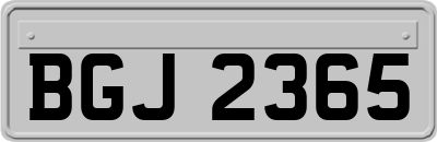 BGJ2365