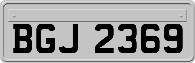 BGJ2369