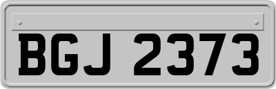 BGJ2373
