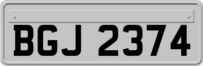 BGJ2374