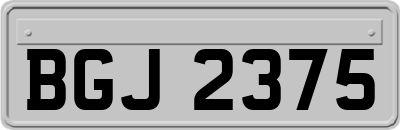 BGJ2375