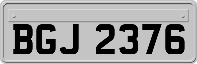 BGJ2376
