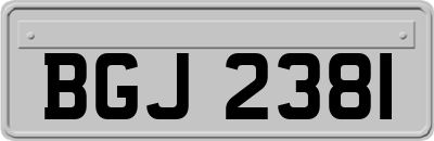 BGJ2381