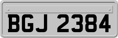 BGJ2384