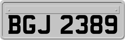 BGJ2389