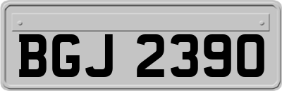 BGJ2390