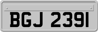 BGJ2391