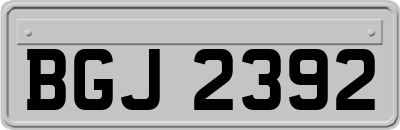 BGJ2392