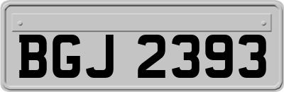 BGJ2393