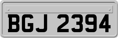 BGJ2394