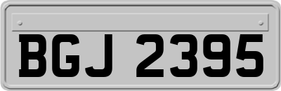 BGJ2395