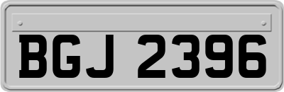 BGJ2396
