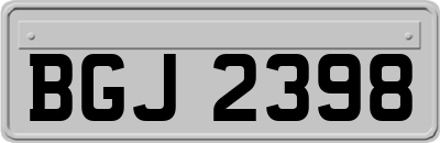 BGJ2398