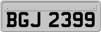 BGJ2399