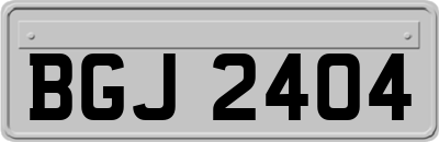 BGJ2404