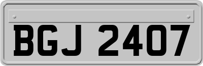 BGJ2407