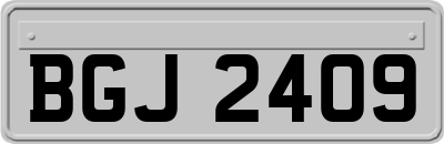 BGJ2409