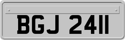BGJ2411