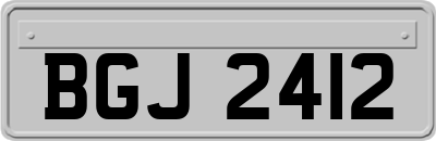 BGJ2412