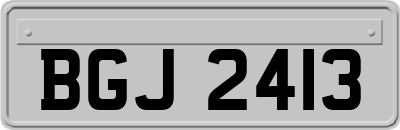 BGJ2413