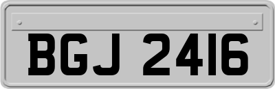 BGJ2416
