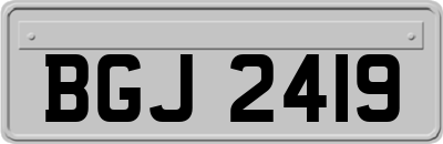 BGJ2419