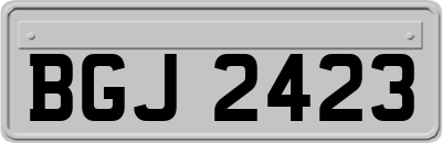 BGJ2423