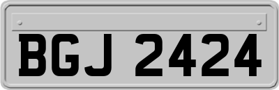 BGJ2424