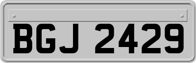 BGJ2429