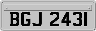 BGJ2431