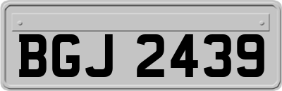 BGJ2439