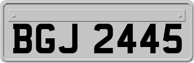 BGJ2445