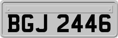 BGJ2446