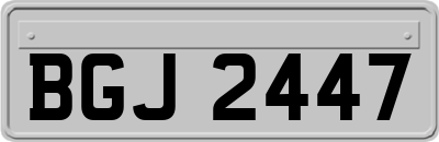 BGJ2447