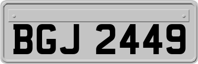 BGJ2449