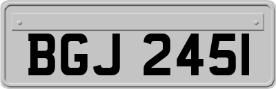 BGJ2451
