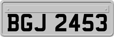 BGJ2453