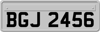 BGJ2456