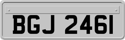 BGJ2461