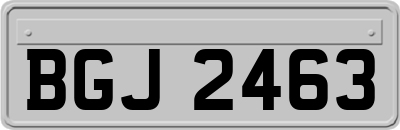 BGJ2463