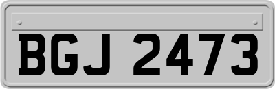 BGJ2473