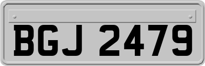 BGJ2479