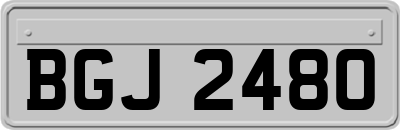 BGJ2480