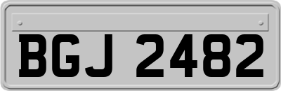 BGJ2482