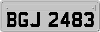BGJ2483