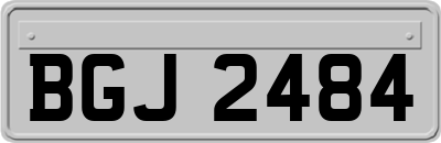 BGJ2484
